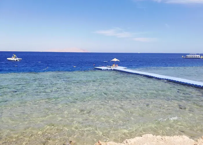 Nemo, Vista Mare, Sharks Bay, Sheikh *