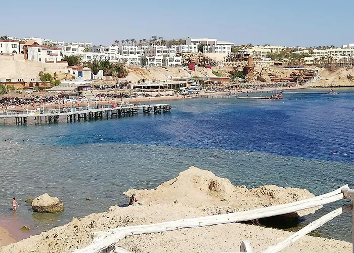 Nemo, Vista Mare, Sharks Bay, Sheikh *